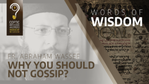 Why you should not gossip_Fr. Abraham Wassef